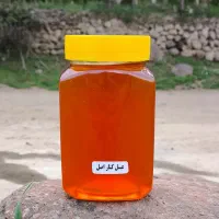 فروش عسل طبیعی کنار