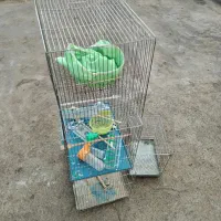 قفس قناری لوازم|لوازم جانبی حیوانات|شهرکرد, |دیوار