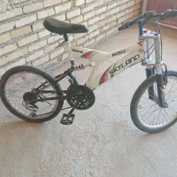 دوچرخه ۲۰دنده ای