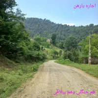 رهن و اجاره ویلا تو دل جنگل میخوایی تماس بگیر|اجارهٔ خانه و ویلا|ماسال, |دیوار