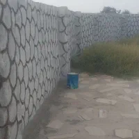 فروش-باغ