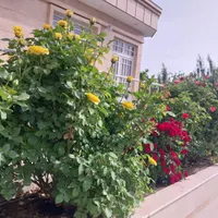باغ ویلایی مجهز مهندسی بنهنگ تربت حیدریه|فروش خانه و ویلا|تربت‌حیدریه, بالا ولایت|دیوار
