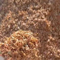 فروش تفاله سیب درختی و تفاله گوجه