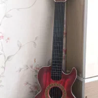 گیتاربچگانه سالم ونو