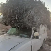 ضایعات|خدمات پیشه و مهارت|گلبهار, شهر جدید گلبهار|دیوار