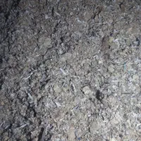 کودیابارکفتر|خدمات باغبانی و درختکاری|بردسکن, |دیوار