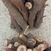 هیزم شاخه چیپس چوب