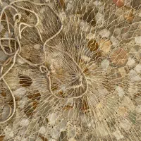 تور ماهی گیری پرتابی ابریشمی|ماهیگیری|نشتارود, |دیوار