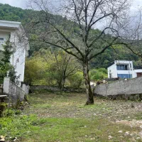 زمین ۶۱۳ متری مسکونی پلاک اول جنگل