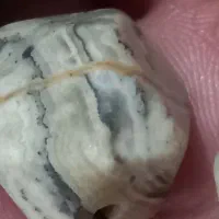 ۵تا مهره قدیمی یکجا|کلکسیون اشیاء عتیقه|تهران, شهران شمالی|دیوار