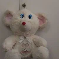 ببر موزیکال و موتور موزیکال|اسباببازی|تهران, قلهک|دیوار