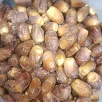 قصب درجه1