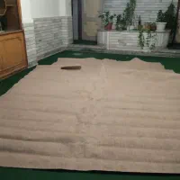 موکت