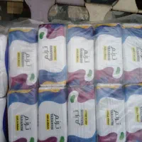 دستمال کاغذی شوش دانیال