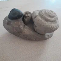 فسیل