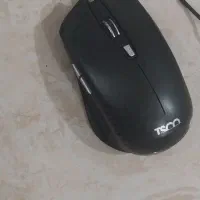 موس تسکو