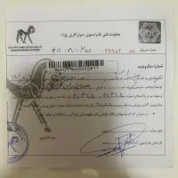 اسب ورزشی|اسب و تجهیزات اسب‌سواری|اصفهان, کوی امیریه|دیوار
