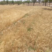 فروش ۱۹۳ متری در شهرک ولیعصر|فروش دفتر صنعتی، کشاورزی، تجاری|تربت‌حیدریه, شهرک ولیعصر|دیوار