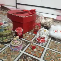 باکس هدیه و عروسک خرس