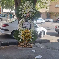 تاج گل ختم|گل و گیاه طبیعی|تبریز, |دیوار