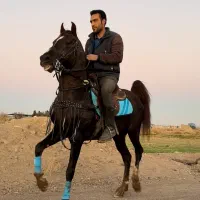 نریون کره کولاک طاهری