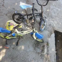 دوعدد دوچرخه ۱۲