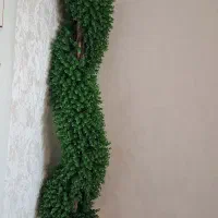 گلدون پیچک نو