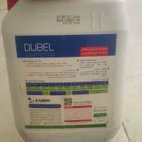 نـهال سـالم، شروع یک بـ/اغ پـ/ربـ«ــار