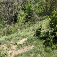 بی-نظیر-ترین-زمین-آهار