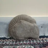 فسیل10 هزار ساله