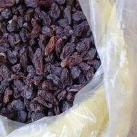 مویز همه مدل