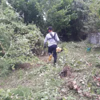 علف تراشی و باغبانی