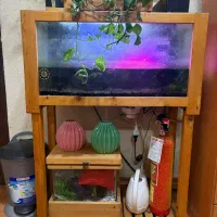 آکواریوم به  همراه چهارچوب و ماهی