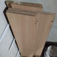 شلف.گلدان.میز و پایه|گل و گیاه طبیعی|قرچک, مهدیه|دیوار