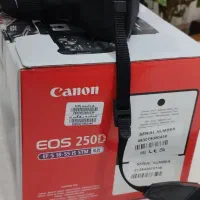 دوربین Canon 250D|دوربین عکاسی و فیلم‌برداری|پرند, فاز ۲|دیوار
