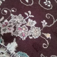 قالی|فرش|تربت جام, باغ سنگان سفلی|دیوار