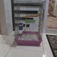 قفس بزرگ پرنده