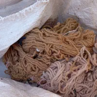 نخ قالی بافی|لوازم خیاطی و بافتنی|نیشابور, میدون بار|دیوار