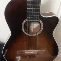 گیتار حرفه ای