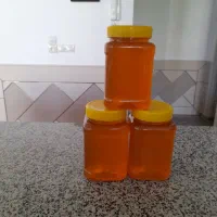 عسل گل گاو پونه