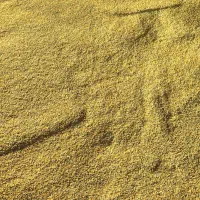 برنج چمپا(چلتیک)|خوردنی و آشامیدنی|یاسوج, |دیوار