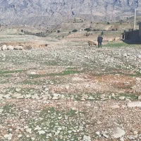 فروش زمین ۳۸۶ متری