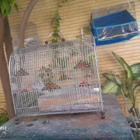 قفس سهره با وسایل