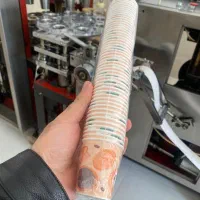 ظروف یکبار مصرف کاغذی|ظروف نگهدارنده، پلاستیکی، یک‌بارمصرف|قوچان, |دیوار