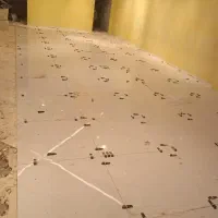 کاشی کاری وسرامیک وگچ کاری بنایی وخورده کاری|خدمات پیشه و مهارت|تهران, جنت‌آباد جنوبی|دیوار