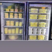 یخچال فریزری تک در با یخچال معمولی تک در