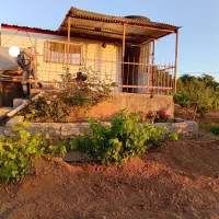 باغ یک قطعه انگور و میوه در قلعه فرهادخان