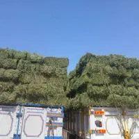 یونجه خشک|عمده‌فروشی|رشت, جانبازان|دیوار