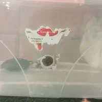 باکس نگهداری از خزنده