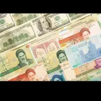 نیلزمند سرمایه با سود ماهانه ۱۲درصد